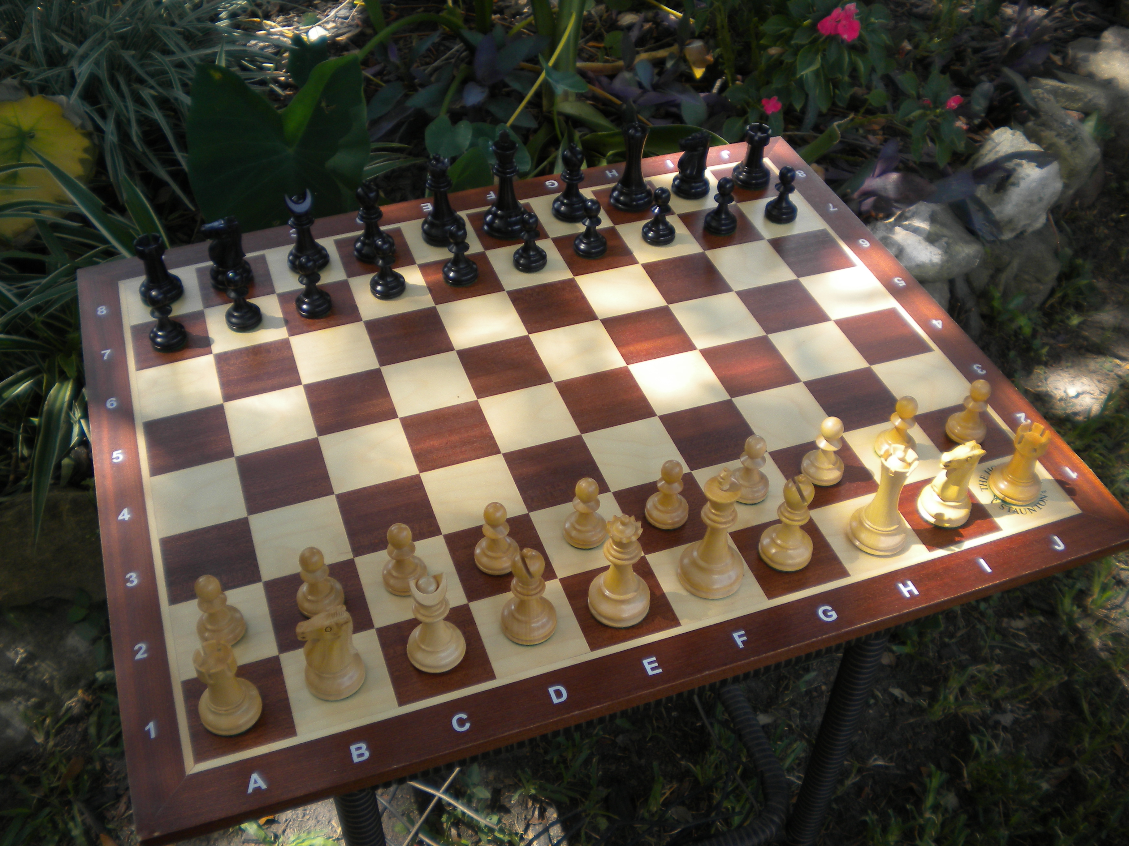Capablanca chess set